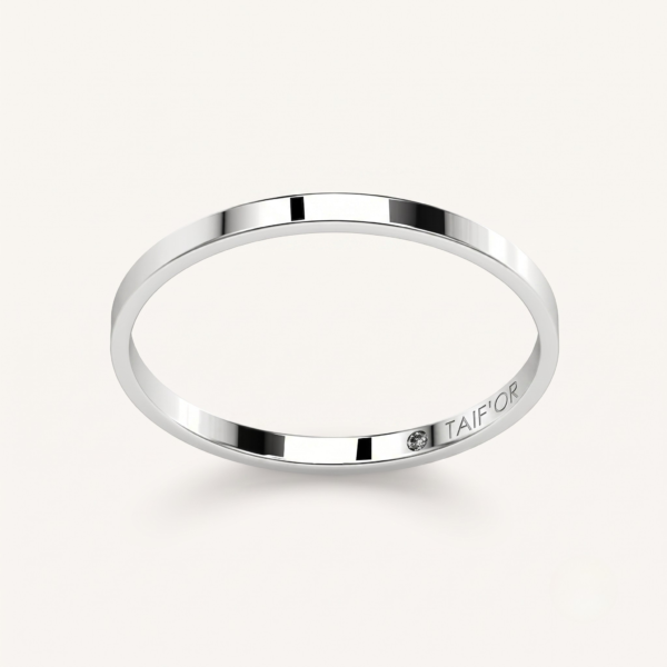 TFD-ALL-011-2 Alliance Minimaliste Moderne