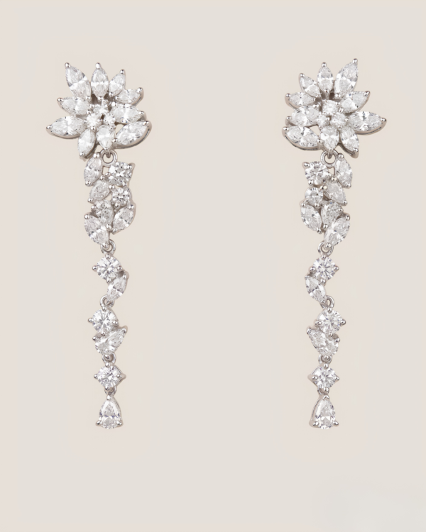 Agapanthe