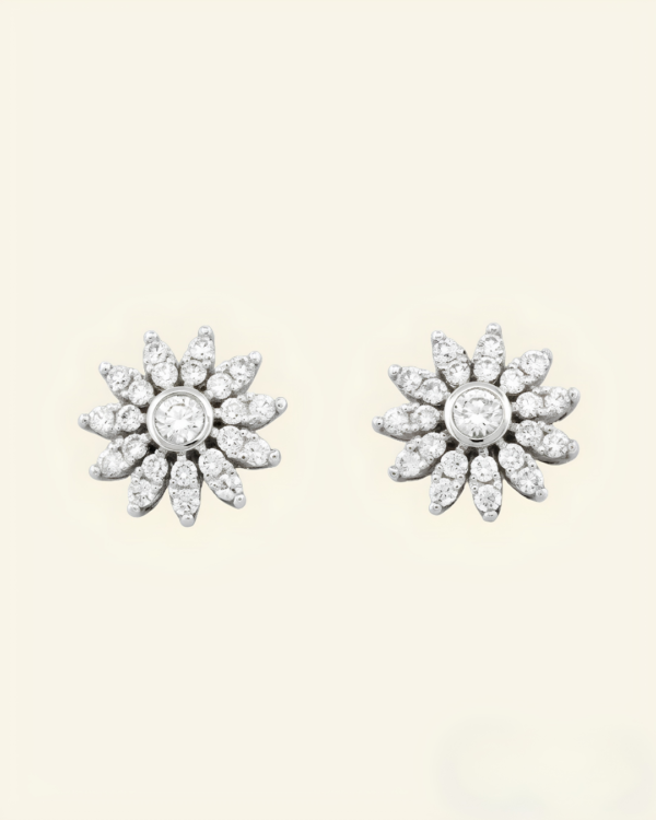 TFD-EAR-0021-2 Étoile des Neiges