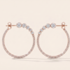 TFD-EAR-0025-1 Myosotis