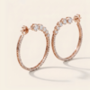 TFD-EAR-0025-2 Myosotis