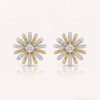 TFD-EAR-0030-1 Tournesol