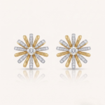 Tournesol
