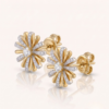 TFD-EAR-0030-2 Tournesol