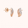 TFD-EAR-0033-1 Feuillage