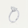 Perce-Neige