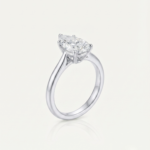Perce-Neige