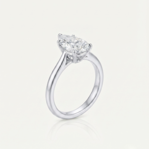 TFD-ENG-0004-1 Perce-Neige