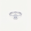 Perce-Neige