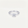 TFD-ENG-0006-1 Tulipe