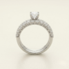 TFD-ENG-0010-2 Jasmin